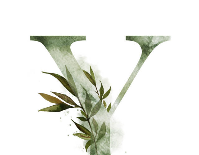 水彩字母植物素材