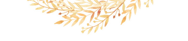 水彩植物花圈素材