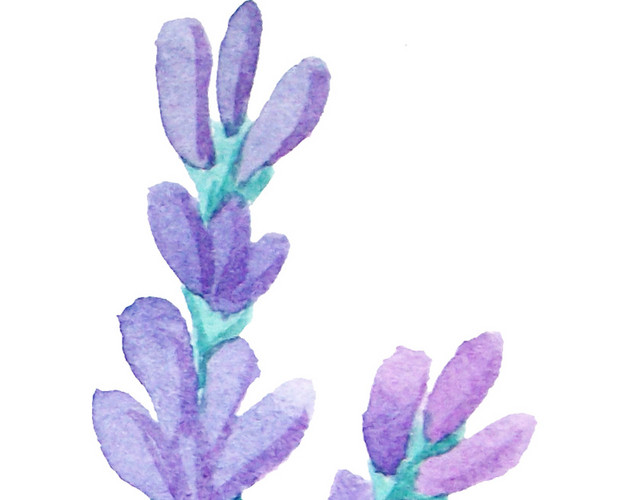 水彩植物花草素材