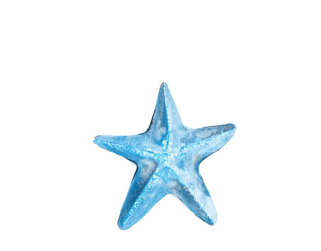 水彩海星素材