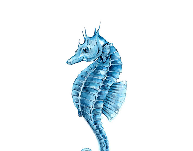 手绘水彩蓝色海马设计素材