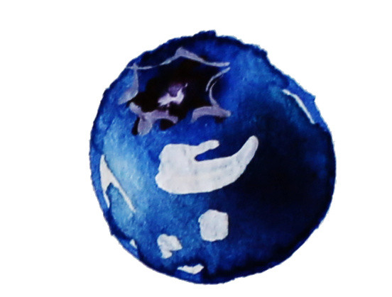 蓝色水彩蓝莓果实设计素材