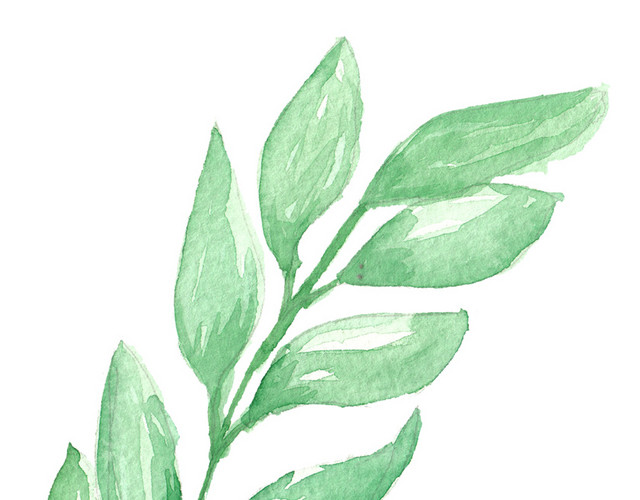 水彩绿色绿植设计素材