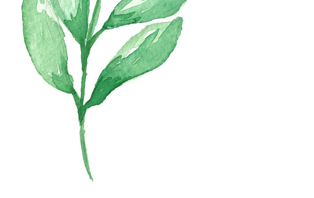 水彩绿色绿植设计素材