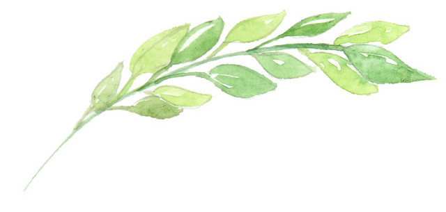 清新绿色绿植设计素材