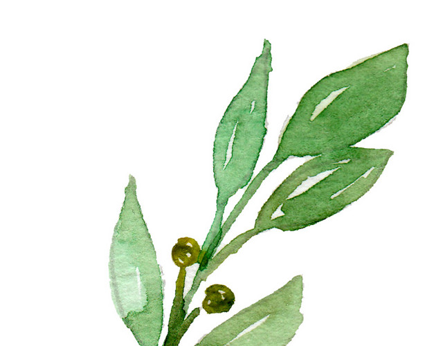 水彩绿植设计素材