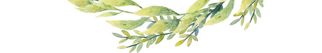 水彩 植物 绿色 叶子 草环
