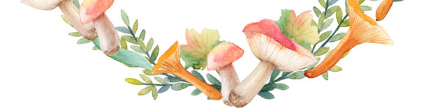 水彩 植物 绿色 叶子 花环