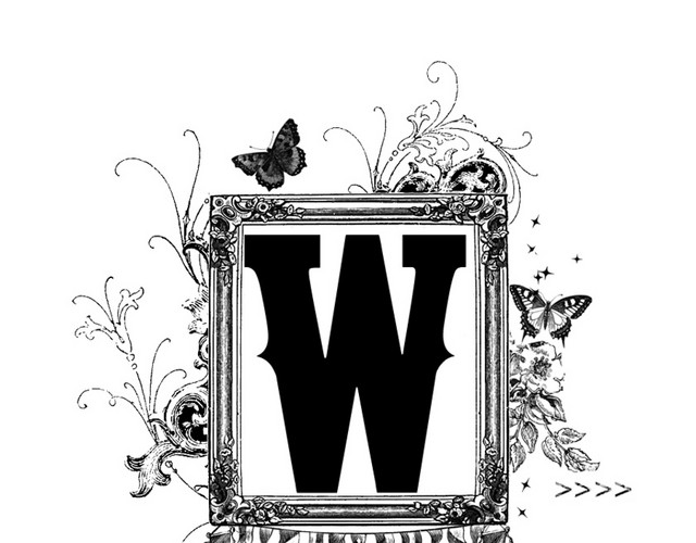 黑色手绘W字母镜面艺术字