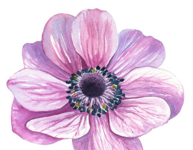 自然紫色花朵免抠素材