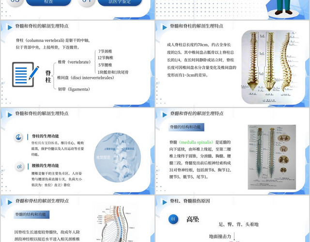 202X医疗教学课件脊髓及脊柱损伤PPT模板