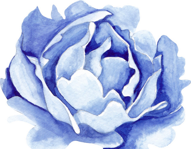 唯美漂亮蓝色花瓣免抠素材