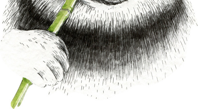 手绘素描熊猫免抠素材