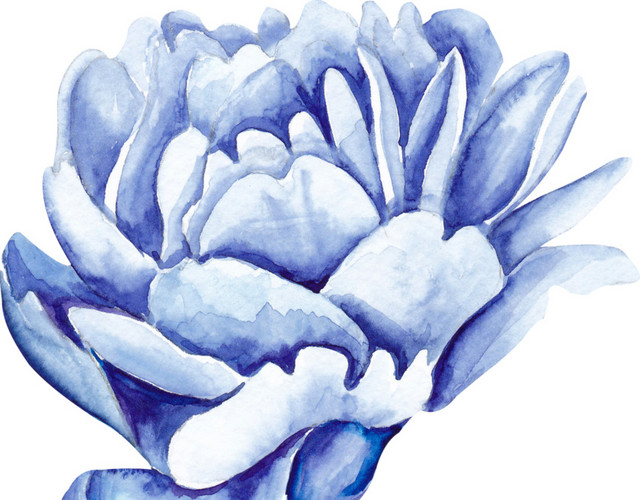 蓝色唯美花瓣免抠素材