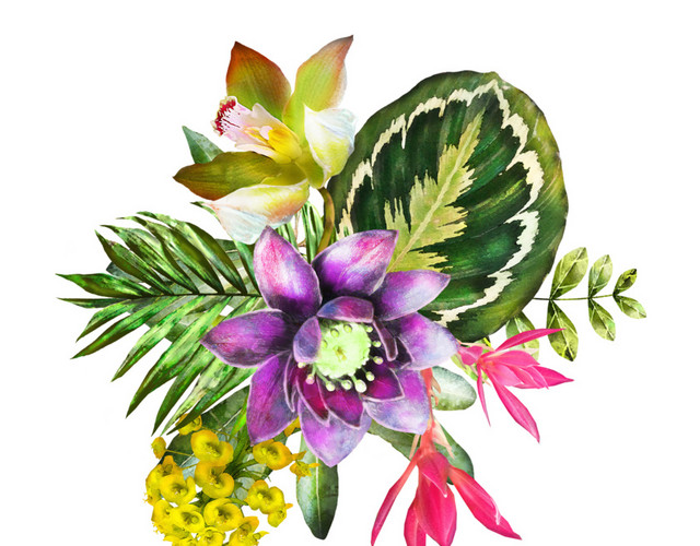 观赏花草设计素材