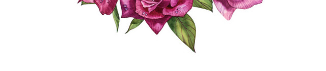 玫瑰花环