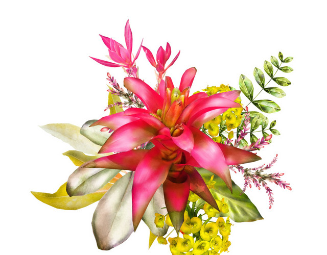 花卉叶子组合设计素材