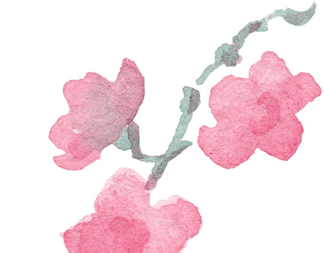 淡雅梅花花枝素材