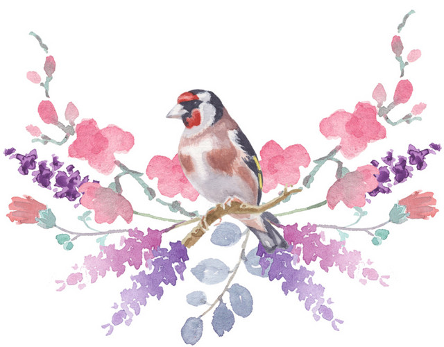 花卉花鸟