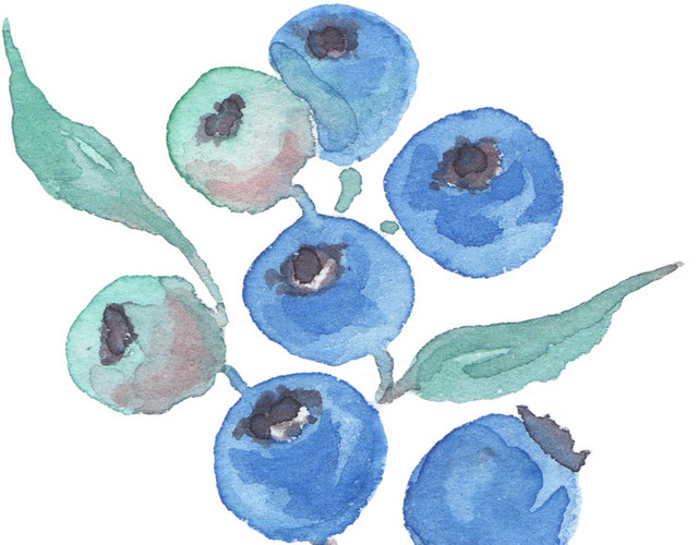 矢量蓝莓
