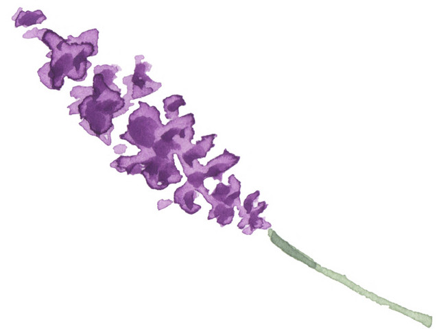 野花花穗素材