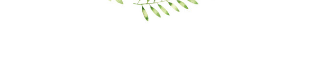 绿色叶子圆形图框
