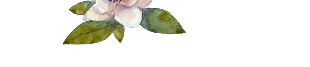 白色漂浮花素材