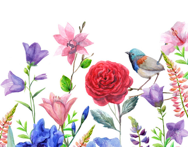 花鸟图素材