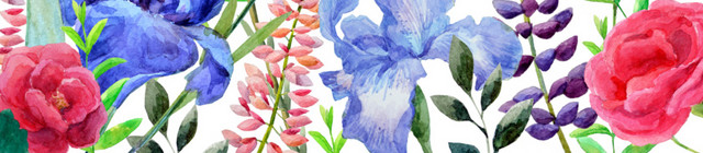 花鸟图素材