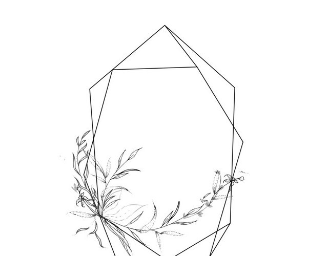 黑色花草线条图框