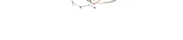 花草艺术图框