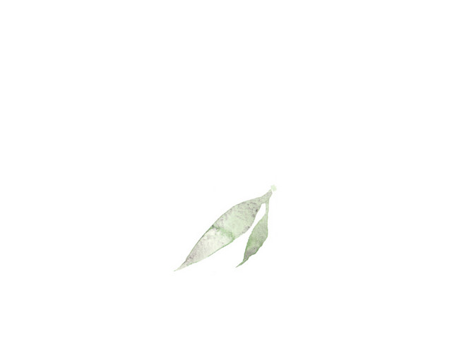 手绘竹叶