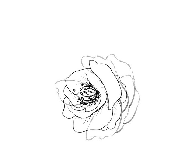 手绘黑色花卉