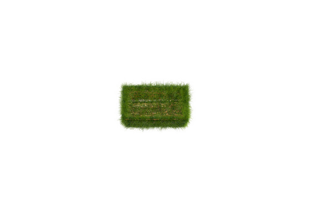 苔藓符号设计