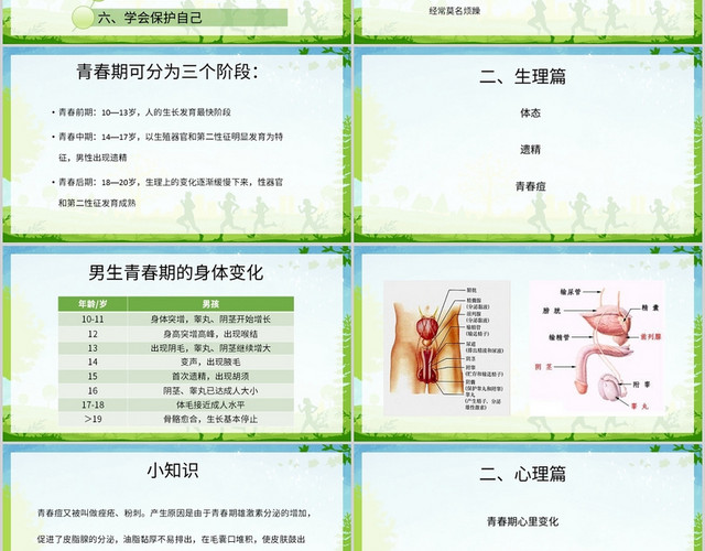 绿色清新风说课课件关爱青春期PPT模板