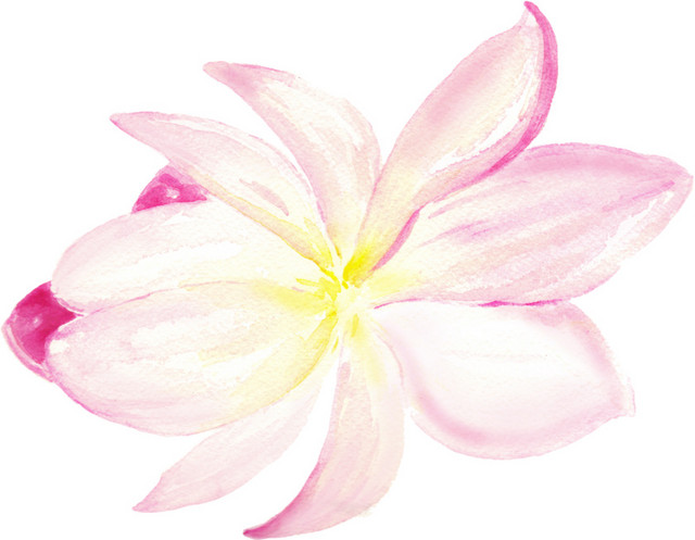 粉色花朵彩绘素材