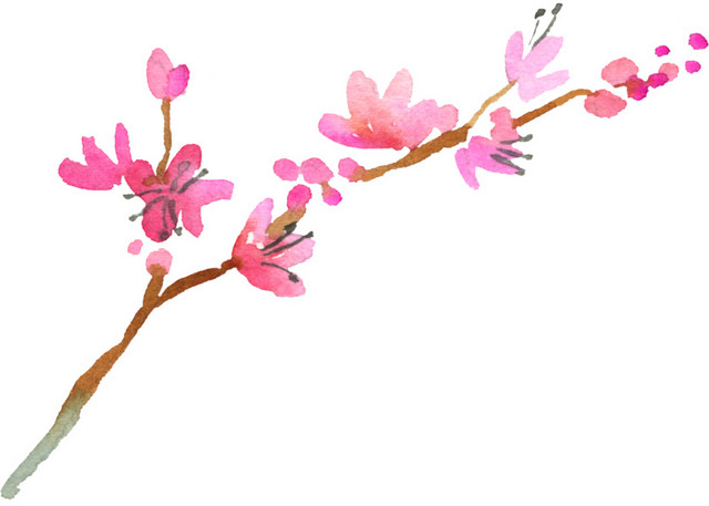 粉色桃枝花枝彩墨素材