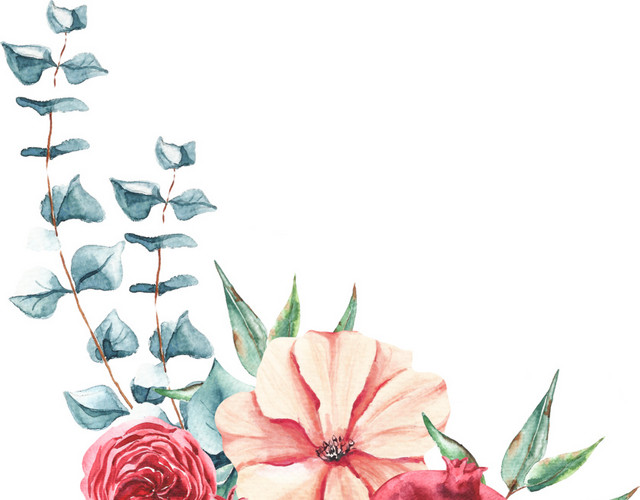 红石榴花叶枝叶素材