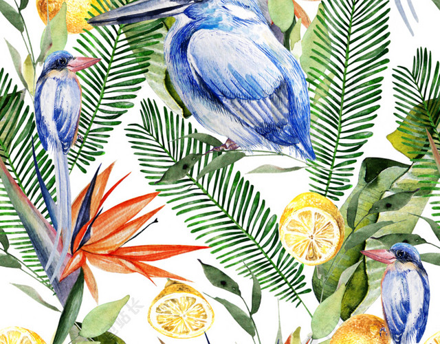 花叶花鸟彩绘背景素材