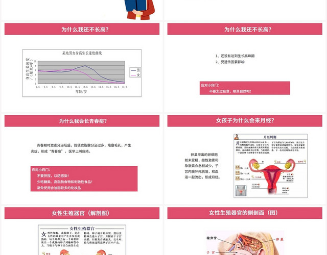 红色简约风性教育青春期卫生和保健女生讲座PPT模板