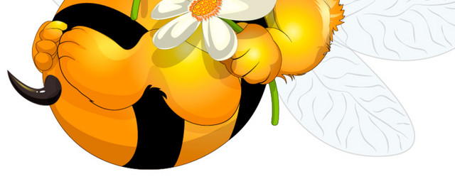 蜜蜂