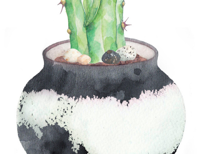 仙人掌