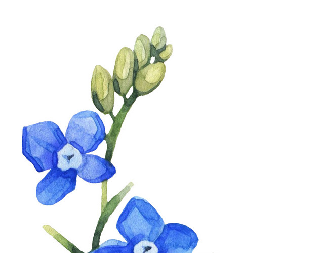 蓝色简约小花图片下载素材