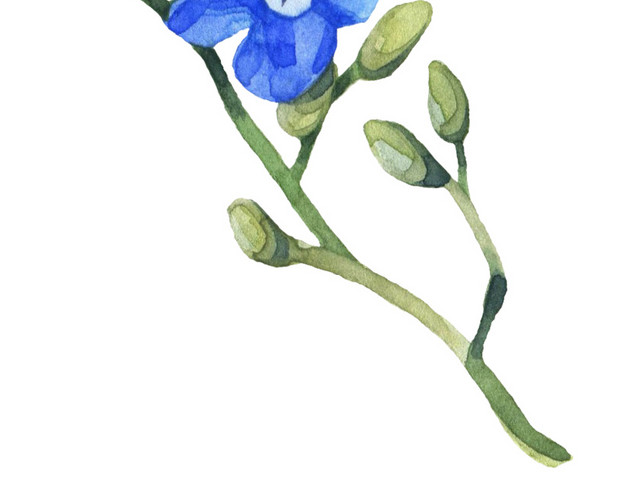 蓝色简约小花图片下载素材