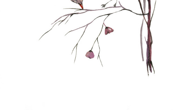 手绘清新鸟装饰素材