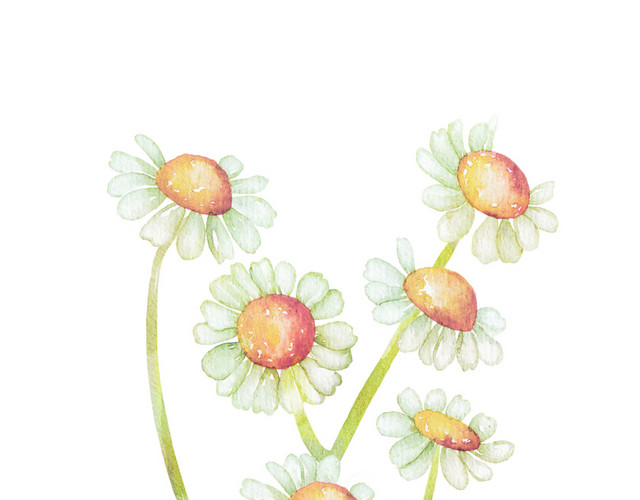 手绘卡通装饰花瓣花草装饰海报设计