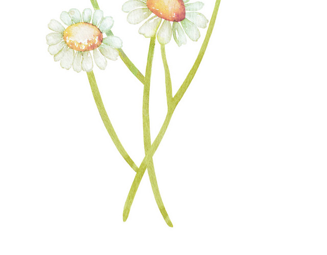 手绘卡通装饰花瓣花草装饰海报设计