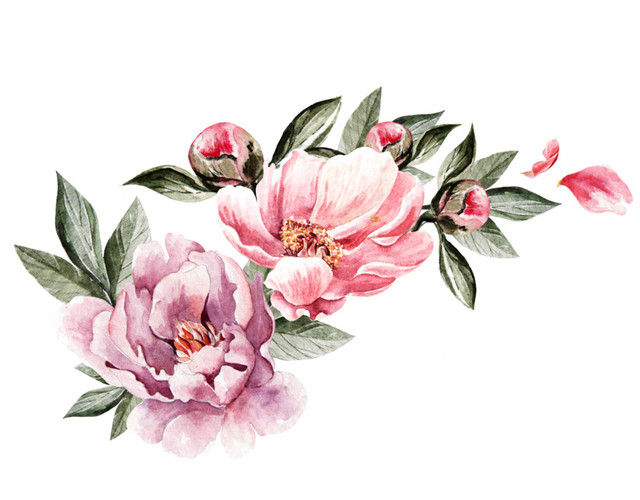 手绘卡通装饰花瓣花草装饰海报设计