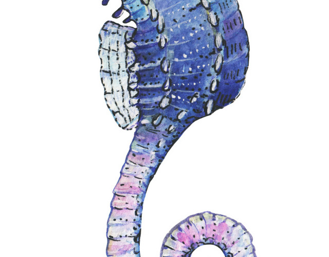 蓝色海马手绘素材