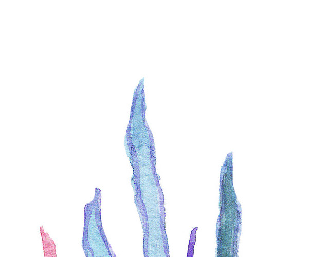 彩色水草手绘素材
